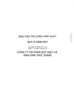 Báo cáo tài chính hợp nhất quý 3 năm 2015 - Công ty Cổ phần Bột giặt và Hoá chất Đức Giang