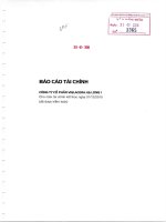 Báo cáo tài chính năm 2015 (đã kiểm toán) - Công ty Cổ phần Viglacera Hạ Long I