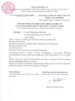 Báo cáo tài chính quý 1 năm 2016 - Công ty cổ phần Thương mại và Khai thác Khoáng sản Dương Hiếu