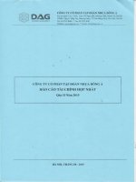 Báo cáo tài chính hợp nhất quý 2 năm 2015 - Công ty Cổ phần Tập đoàn Nhựa Đông Á