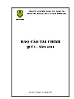 Báo cáo tài chính quý 1 năm 2011 - Công ty Cổ phần Hàng hải Đông Đô