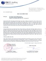 Báo cáo tài chính năm 2012 (đã kiểm toán) - Công ty Cổ phần Dược - Vật tư Y tế Đăk Lăk