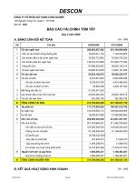 Báo cáo tài chính quý 3 năm 2008 - Công ty Cổ phần Xây dựng Công nghiệp DESCON