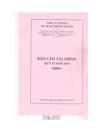 Báo cáo tài chính quý 2 năm 2015 - CTCP Du lịch và Thương mại DIC