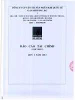 Báo cáo tài chính hợp nhất quý 1 năm 2013 - Công ty cổ phần Vận tải Sản phẩm khí quốc tế