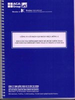 Báo cáo tài chính hợp nhất năm 2010 (đã kiểm toán) - Công ty Cổ phần Tập đoàn Nhựa Đông Á