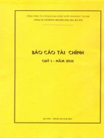 Báo cáo tài chính quý 1 năm 2014 - Công ty Cổ phần Thương mại Bia Hà Nội