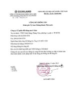 Báo cáo tài chính hợp nhất quý 3 năm 2013 - Công ty cổ phần Bất động sản E Xim