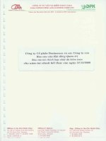 Báo cáo tài chính hợp nhất năm 2009 (đã kiểm toán) - Công ty Cổ phần Docimexco