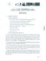 Báo cáo thường niên năm 2013 - Công ty Cổ phần Chế biến Gỗ Thuận An