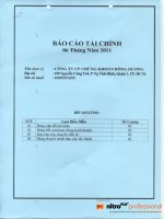 Báo cáo tài chính quý 2 năm 2011 (đã soát xét) - Công ty Cổ phần Chứng khoán Đông Dương