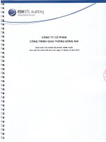 Báo cáo tài chính năm 2012 (đã kiểm toán) - Công ty cổ phần Công trình Giao thông Đồng Nai