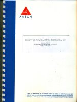 Báo cáo tài chính công ty mẹ năm 2014 (đã kiểm toán) - Công ty Cổ phần Đầu tư và Thương mại DIC
