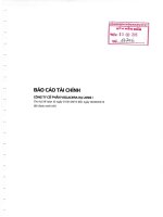 Báo cáo tài chính quý 2 năm 2015 - Công ty Cổ phần Viglacera Hạ Long I