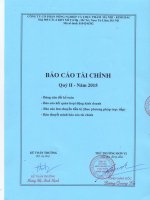 Báo cáo tài chính quý 2 năm 2015 - Công ty Cổ phần Nông nghiệp và Thực phẩm Hà Nội - Kinh Bắc