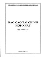 Báo cáo tài chính hợp nhất quý 2 năm 2013 - Tổng Công ty cổ phần Thiết bị điện Việt Nam