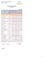 Báo cáo KQKD quý 2 năm 2010 - Công ty Cổ phần Hữu Liên Á Châu