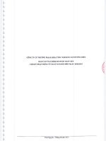 Báo cáo tài chính quý 2 năm 2015 (đã soát xét) - Công ty cổ phần Thương mại và Khai thác Khoáng sản Dương Hiếu