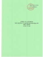 Báo cáo tài chính công ty mẹ quý 1 năm 2013 - Công ty cổ phần Xây dựng và Kinh doanh Địa ốc Hoà Bình
