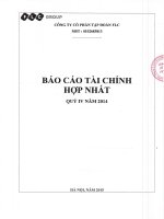 Báo cáo tài chính hợp nhất quý 4 năm 2014 - Công ty cổ phần Tập đoàn FLC