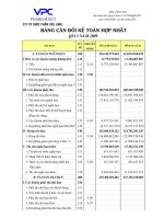 Báo cáo tài chính hợp nhất quý 1 năm 2009 - Công ty Cổ phần Dược phẩm Cửu Long