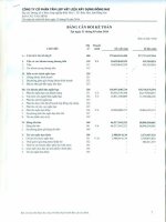 Báo cáo tài chính quý 1 năm 2016 - Công ty Cổ phần Tấm lợp Vật liệu xây dựng Đồng Nai