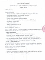 Báo cáo thường niên năm 2015 - Công ty cổ phần Thương mại và Khai thác Khoáng sản Dương Hiếu