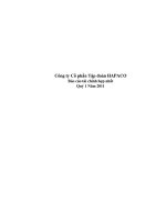 Báo cáo tài chính hợp nhất quý 1 năm 2011 - Công ty Cổ phần Tập đoàn Hapaco