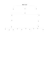 TỔ CHỨC BỘ MÁY KẾ TOÁN TẠI Công  Ty Cổ Phần Dịch Vụ Văn Phòng OBT