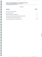 Báo cáo tài chính hợp nhất năm 2010 (đã kiểm toán) - Công ty Cổ phần Khoáng sản và Xây dựng Bình Dương