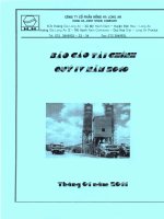 Báo cáo tài chính quý 4 năm 2010 - Công ty Cổ phần Hồng Hà Long An