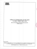 Báo cáo tài chính hợp nhất quý 2 năm 2015 (đã soát xét) - Công ty Cổ phần Đầu tư Du lịch và Phát triển Thủy sản