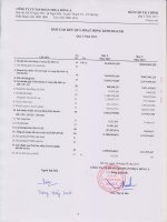 Báo cáo KQKD công ty mẹ quý 2 năm 2011 - Công ty Cổ phần Tập đoàn Nhựa Đông Á