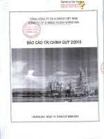Báo cáo tài chính quý 2 năm 2015 - Công ty cổ phần Xi măng VICEM Hoàng Mai