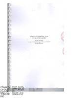 Báo cáo tài chính năm 2015 (đã kiểm toán) - CTCP Du lịch và Thương mại DIC