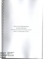 Báo cáo tài chính hợp nhất năm 2014 (đã kiểm toán) - Công ty cổ phần Đầu tư DNA