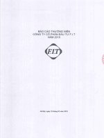 Báo cáo thường niên năm 2015 - Công ty cổ phần Đầu tư F.I.T