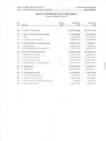 Báo cáo tài chính hợp nhất quý 3 năm 2012 - Công ty Cổ phần Tập đoàn Hapaco