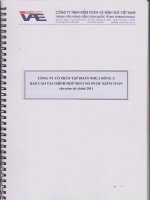Báo cáo tài chính hợp nhất năm 2011 (đã kiểm toán) - Công ty Cổ phần Tập đoàn Nhựa Đông Á