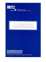 Báo cáo tài chính quý 2 năm 2010 (đã kiểm toán) - Công ty Cổ phần Công nghiệp Khoáng sản Bình Thuận