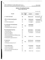 Báo cáo tài chính quý 1 năm 2011 - Công ty Cổ phần Đầu tư và Phát triển Đa Quốc Gia I.D.I