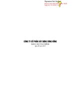 Báo cáo tài chính quý 3 năm 2012 - Công ty Cổ phần Xây dựng Sông Hồng