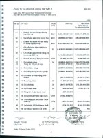 Báo cáo KQKD hợp nhất năm 2012 (đã kiểm toán) - Công ty Cổ phần Xi Măng Hà Tiên 1