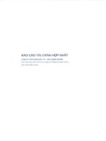Báo cáo tài chính hợp nhất năm 2013 (đã kiểm toán) - Công ty Cổ phần Đầu tư - Xây dựng Hà Nội