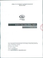 Báo cáo thường niên năm 2012 - Công ty Cổ phần Tập đoàn Hapaco