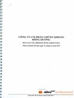 Báo cáo tài chính năm 2011 (đã kiểm toán) - Công ty Cổ phần Chứng khoán Đông Dương