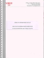 Báo cáo tài chính năm 2012 (đã kiểm toán) - Công ty cổ phần Đầu tư F.I.T