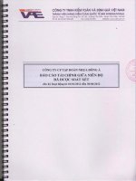 Báo cáo tài chính công ty mẹ quý 2 năm 2012 (đã soát xét) - Công ty Cổ phần Tập đoàn Nhựa Đông Á