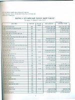 Báo cáo tài chính hợp nhất quý 1 năm 2013 - Công ty Cổ phần Phát triển Hạ tầng Kỹ thuật