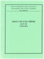 Báo cáo tài chính quý 3 năm 2014 - Công ty Cổ phần Đầu tư Dịch vụ Hoàng Huy